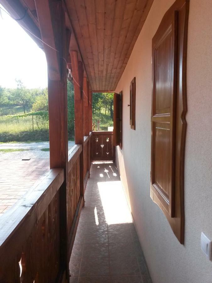 Martonyi Erdőszéli Vendégház Exterior foto